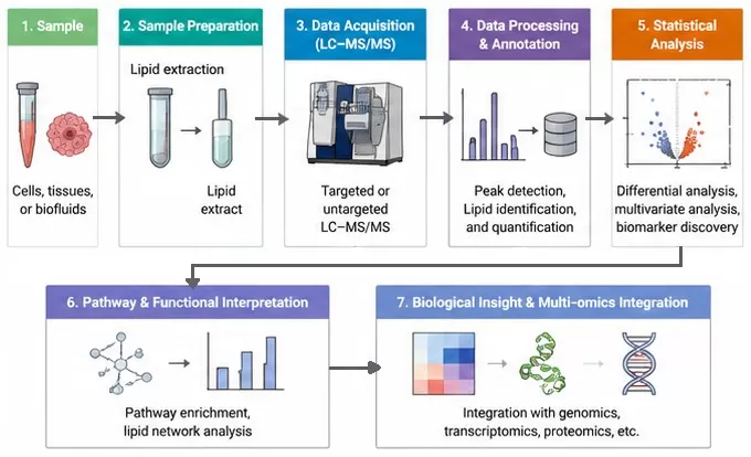 mass spectrometry lipidomics workflow sample preparation data acquisition statistical analysis